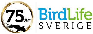 Birdlife